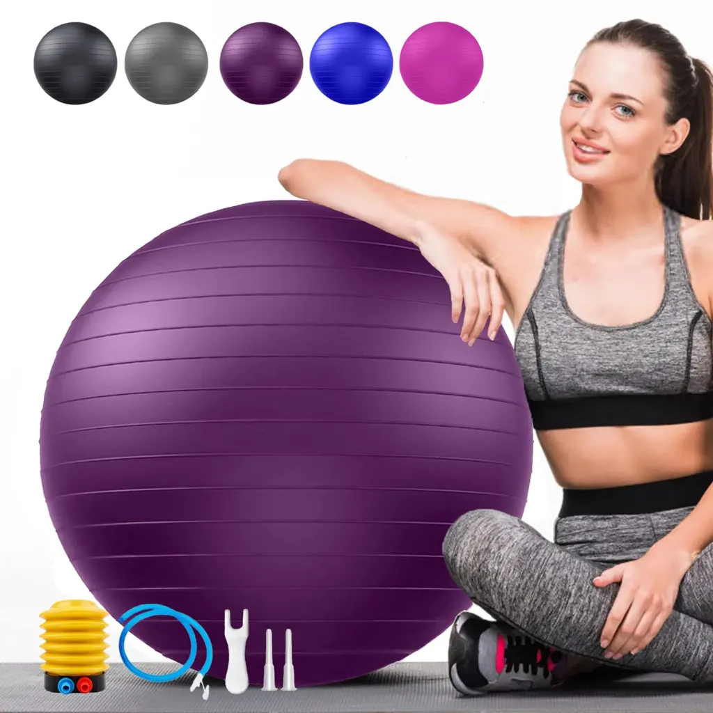 Stability Ball Exercise Swiss Pump