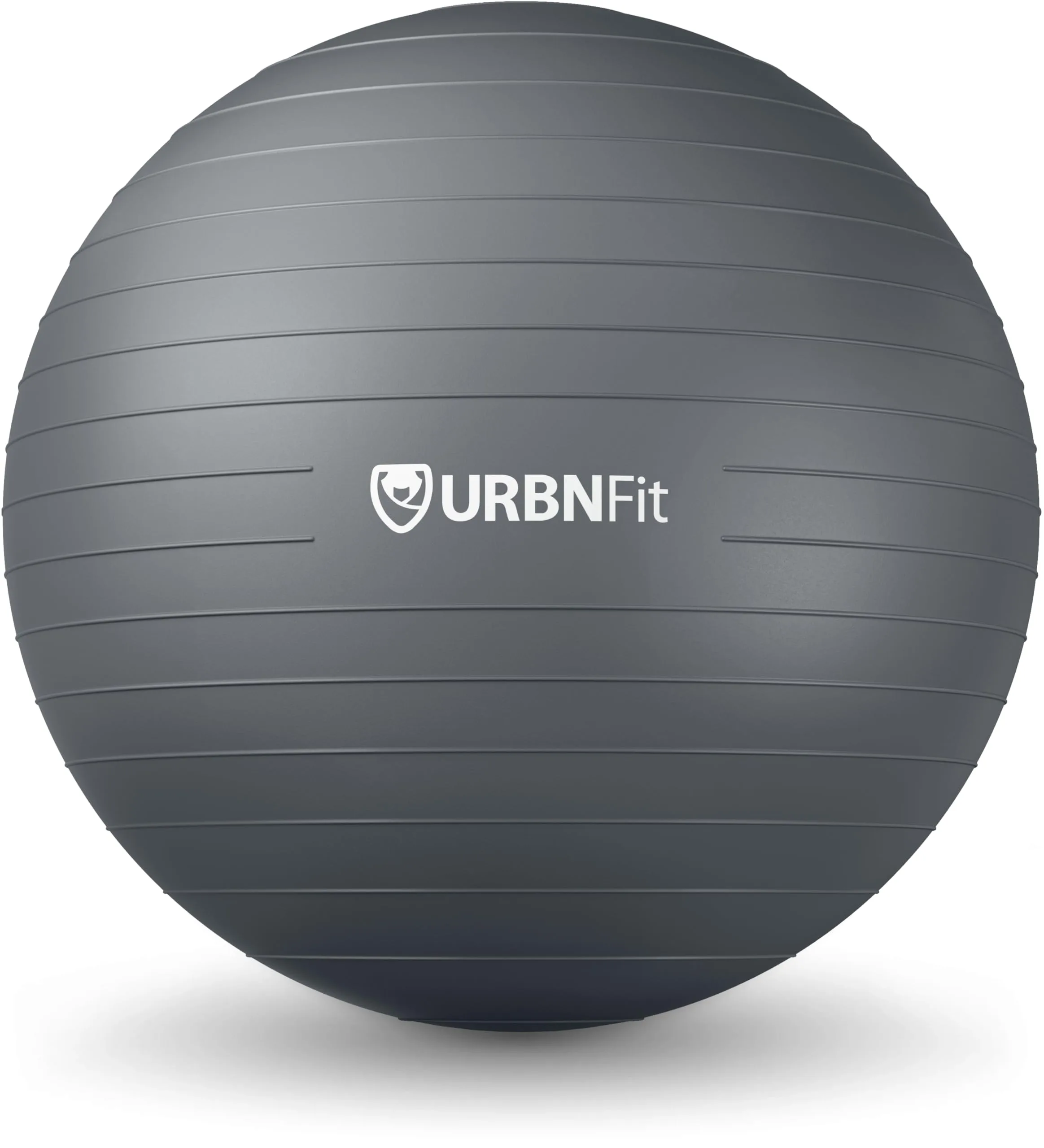Stability Ball Exercise Swiss Pump image 3